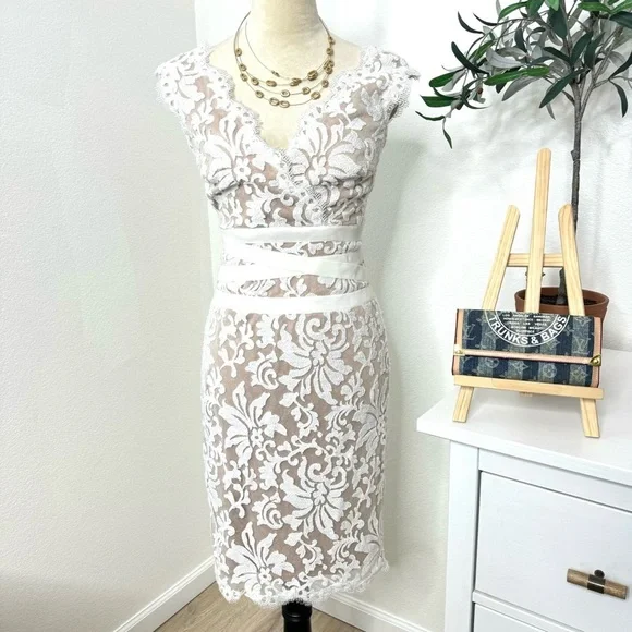 Tadashi Shoji Embroidered Lace Sheath Dress Size 0